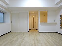 プルメリアハウス 1LDKの写真