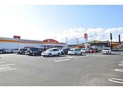 ダイレックス鹿屋店 907m