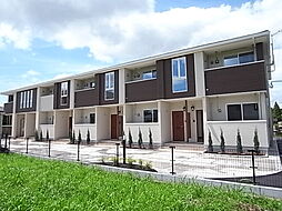 エルミタージュ・トミ