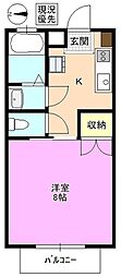 フローレンス県 1Kの間取図画像
