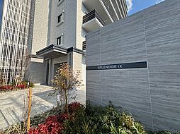 スプランディッドナイン