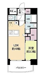 セレニテ新大阪カルム 12階