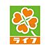 周辺：ライフ大淀中店 667m