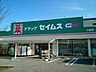 周辺：【ドラッグストア】ドラッグセイムス介良店まで302ｍ