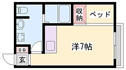 プチメガティー