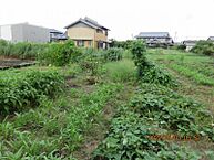 三重県三重郡川越町大字亀崎新田：物件画像