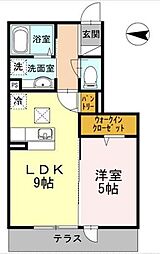 プランドール柴又 1階1LDKの間取り