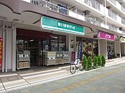 まいばすけっと亀戸松代橋店 579m