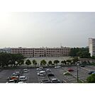 小学校「船橋市立行田西小学校まで438ｍ」