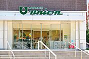 もとまちUNION（ユニオン） 新宿店（587m）