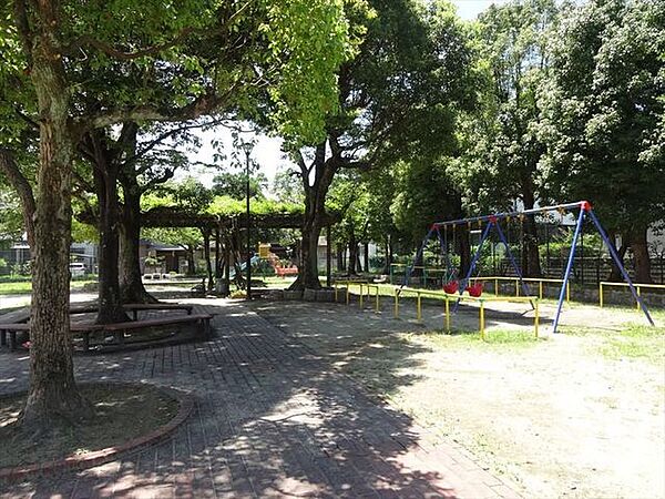 周辺を拡大表示