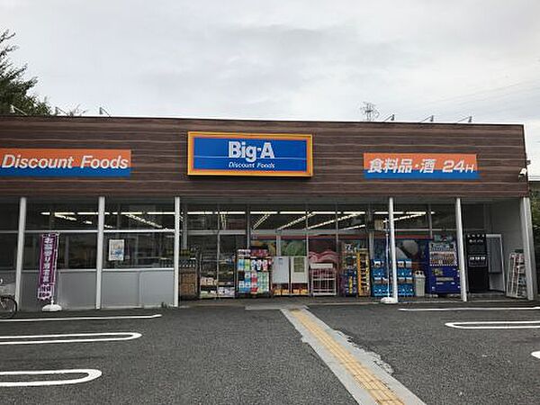 画像22:【スーパー】Big-A（スーパー）まで437ｍ