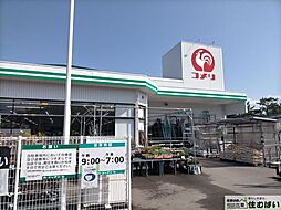 周辺施設の画像