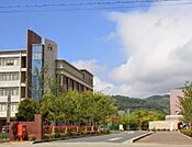 関西福祉大学(1600m)