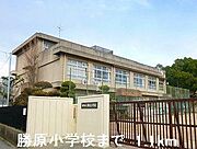 勝原小学校まで1100m