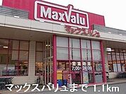 マックスバリュまで1100m