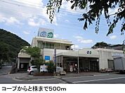 コープからと様まで500m