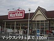 マックスバリュまで100m