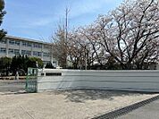 氷丘小学校(900m)