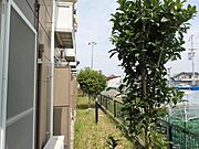バルコニー側