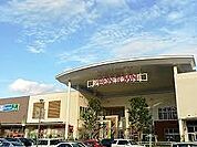イオンタウン姫路  800m