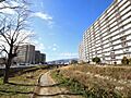 敷地の南側を天...