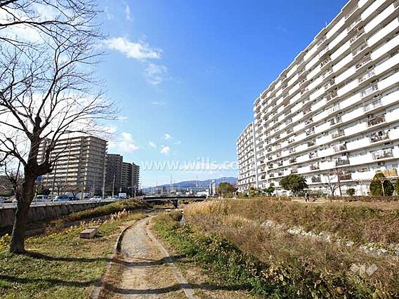 敷地の南側を天...