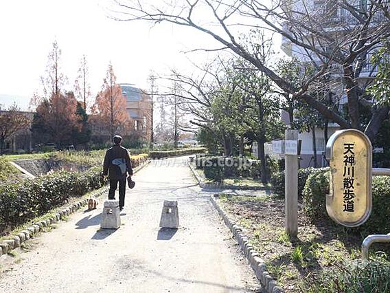 天神川沿いの天...