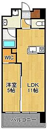 ハイネス槻田 1LDKの間取図画像