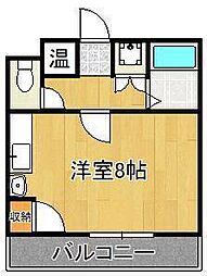 シティライフ新池 1階