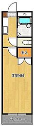 ロイヤルアミューズ 4階/-
