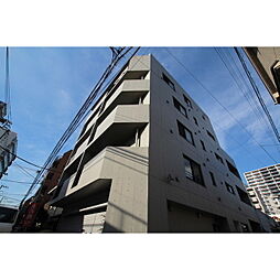 クリサンセマム山川