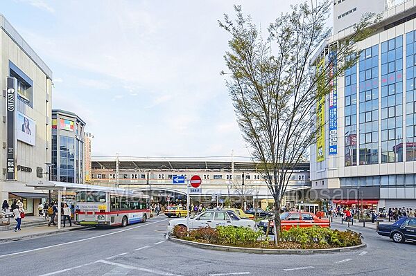 周辺を拡大表示
