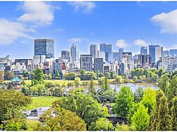 上野公園を一望・スカイツリーも眺める最上階ペントハウス