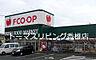 周辺：FCO・OP新宮店（536m）