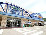 MrMAX  宗像店（MrMAX宗像ショッピングセンター）（408m）