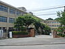 周辺：和白丘中学校（450m）