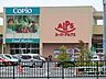 周辺：スーパー 3000m スーパーアルプス楢原店