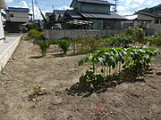 北側から撮影