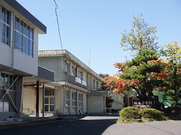 画像19:中津川市立坂本中学校（1800m）