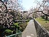 周辺：王子公園の外観