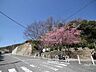周辺：灘丸山公園の外観