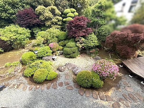 を拡大表示