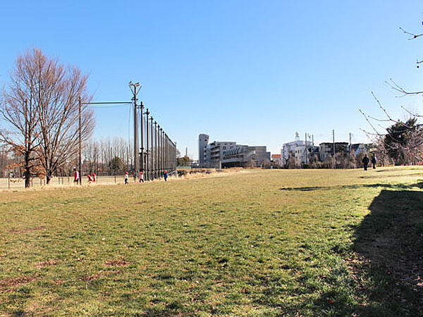 東京都板橋区蓮沼町(賃貸マンション1R・3階・30.00㎡)の写真 その25