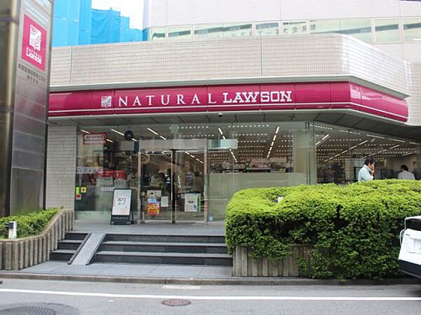 画像23:【コンビニエンスストア】ナチュラルローソン NL北大塚一丁目店まで340ｍ