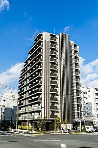 外観：RC造12階建のマンション