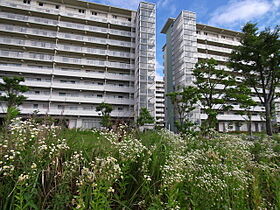 UR都島リバーシティ  ｜ 大阪府大阪市都島区大東町3丁目（賃貸マンション1K・1階・30.14㎡） その6