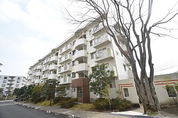 UR都市機構若山台第4団地14号棟_トップ画像