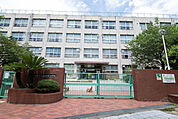 小学校「大阪市立南港渚小学校まで811ｍ」