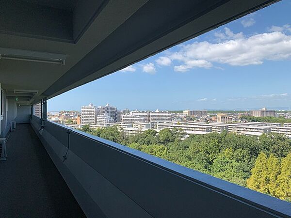 画像13:11階共用廊下からの自然豊かで美しい眺望です。